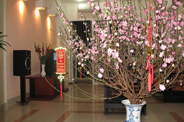 Dọn nhà đón tết theo phong thủy rước tài lộc may mắn-3