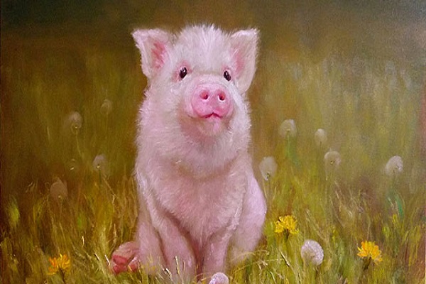 Tử vi năm 2021 tuổi ẤT HỢI sinh năm 1995 [Nam Mạng]-2