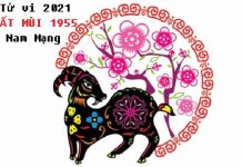 Tử vi năm 2021 tuổi ẤT MÙI sinh năm 1955 Nam Mạng