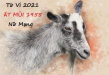 Tử vi năm 2021 tuổi ẤT MÙI sinh năm 1955 nữ mạng