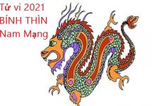 Xem tử vi 2021 tuổi BÍNH THÌN sinh năm 1976 Nam mạng