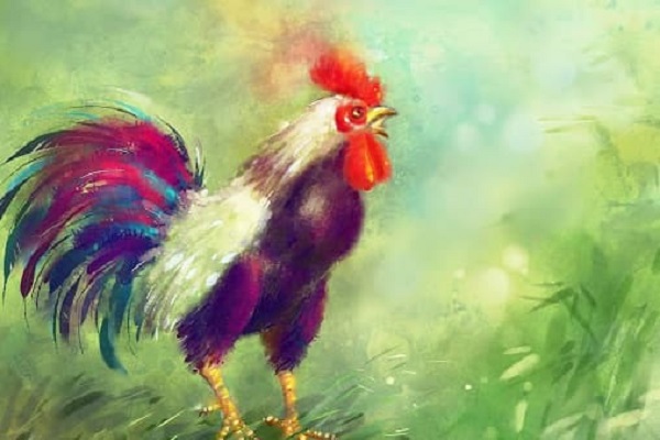 Xem tử vi năm 2021 tuổi ĐINH DẬU sinh năm 1957 [Nữ Mạng]-2