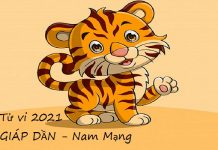 Xem tử vi 2021 tuổi GIÁP DẦN sinh năm 1974 Nam Mạng