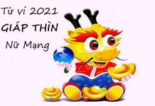 Xem tử vi 2021 tuổi GIÁP THÌN sinh năm 1964 Nữ Mạng