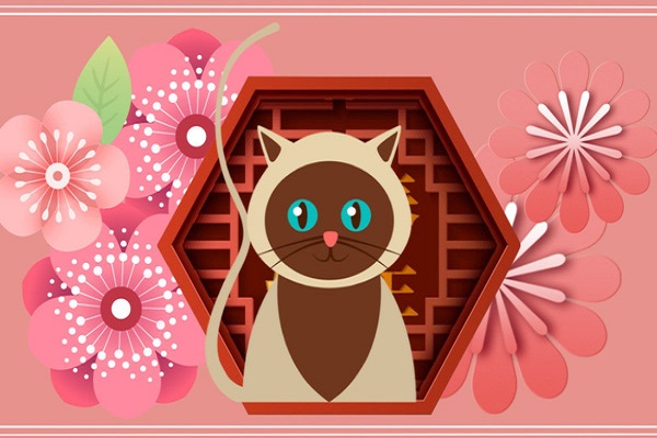 Xem tử vi 2021 tuổi KỶ MÃO sinh năm 1999 Nữ Mạng-2