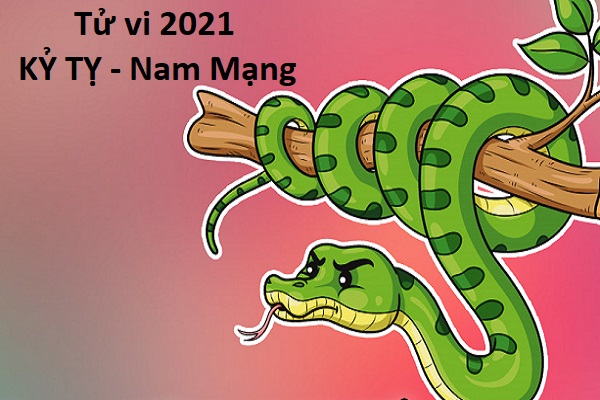 Xem Tử Vi Tuổi Kỷ Tỵ Năm 2023 Nam Mạng - Quý Nhân Phù Trợ