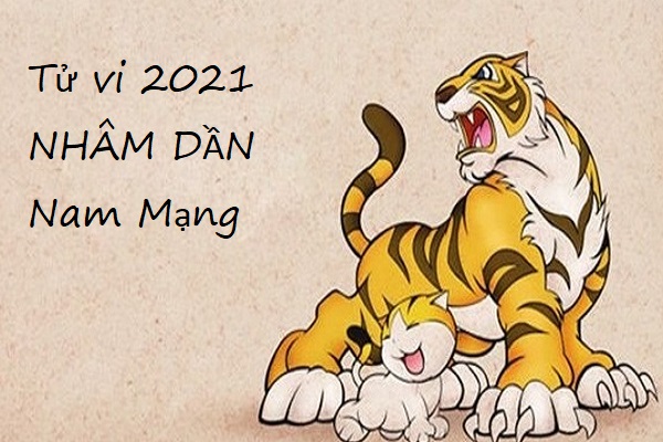 Xem tử vi 2021 tuổi NHÂM DẦN sinh năm 1962 Nam Mạng