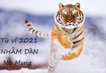 Xem tử vi 2021 tuổi NHÂM DẦN sinh năm 1962 Nữ Mạng