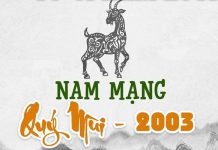 Tử vi năm 2021 tuổi QUÝ MÙI sinh năm 2003 Nam Mạng