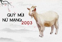 Tử vi năm 2021 tuổi QUÝ MÙI sinh năm 2003 Nữ Mạng