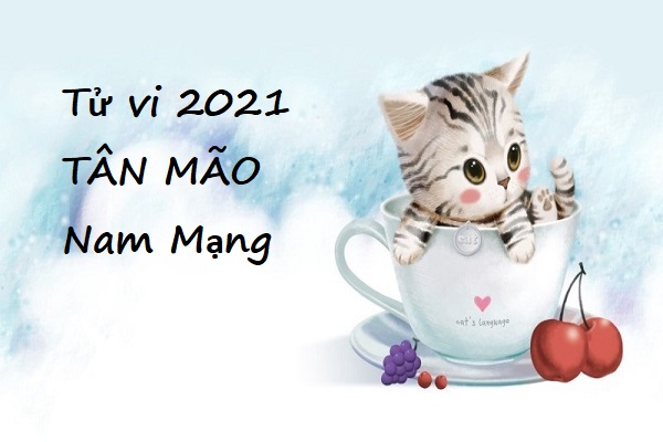 Xem tử vi 2021 tuổi TÂN MÃO sinh năm 1951 Nam Mạng-1 Xem tử vi 2021 tuổi TÂN MÃO sinh năm 1951 Nam Mạng-1