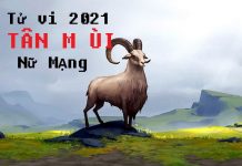 Tử vi năm 2021 tuổi TÂN MÙI sinh năm 1991 Nữ Mạng