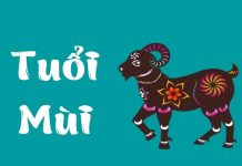 Xem tử vi 2021 tuổi MÙI sinh năm 1955, 1967, 1979, 1991, 2003