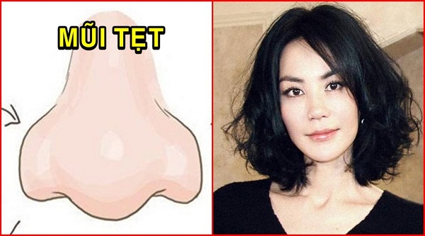 Mũi tẹt đẹp hay xấu? Xem tướng mũi tẹt đoán vận mệnh-1 Mũi tẹt đẹp hay xấu? Xem tướng mũi tẹt đoán vận mệnh-1