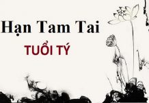 Tam Tai Tuổi Tý 1960, 1972, 1984, 1996, 2008, 2020