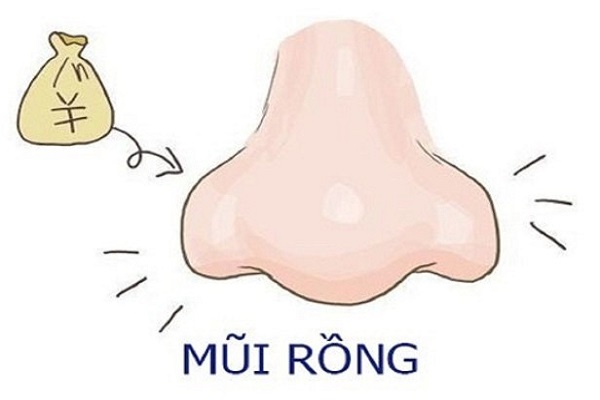 Tướng mũi rồng có tốt không? Tính cách, vận mệnh ra sao?-1