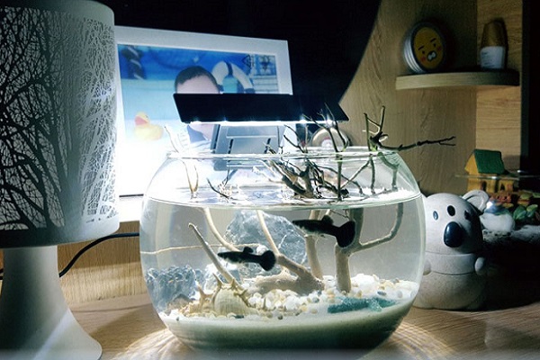 Người mệnh khuyết Thủy có tốt không?-4