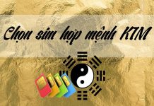 Cách chọn sim phong thủy hợp mệnh Kim chiêu tài đón lộc Mệnh Kim hợp sim số nào