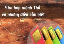 Sim phong thủy hợp mệnh Thổ và những điều cần biết Sim hợp mệnh Thổ 1991