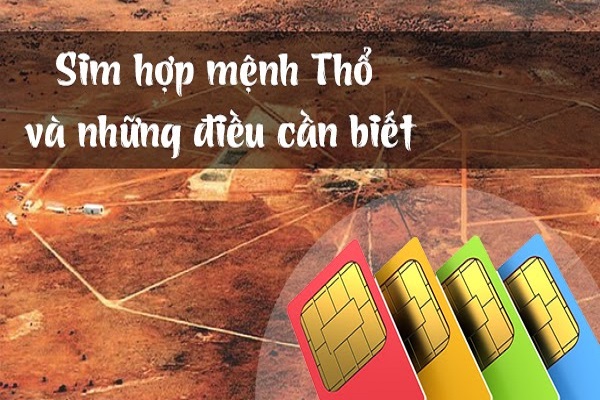 Sim phong thủy hợp mệnh Thổ và những điều cần biết-3