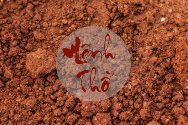 Sim phong thủy hợp mệnh Thổ và những điều cần biết-1