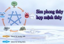 3 Cách chọn sim phong thủy hợp mệnh Thủy đón may mắn Sim phong thủy hợp mệnh Thủy