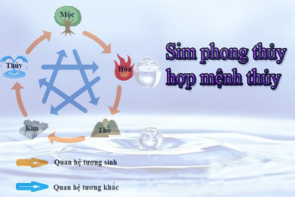 3 Cách chọn sim phong thủy hợp mệnh Thủy đón may mắn-1