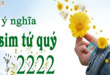 Cách chọn sim tứ quý 2222