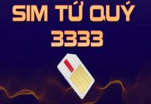 Sim phong thủy tứ quý 3333