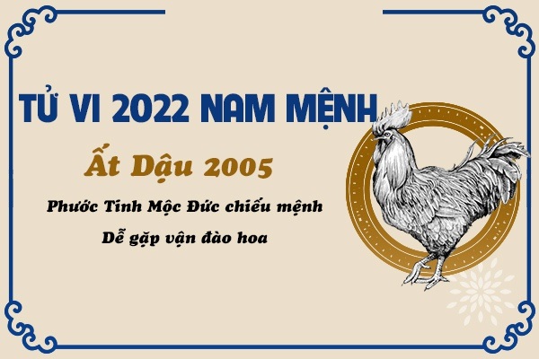 Xem tử vi năm 2022 tuổi ẤT DẬU sinh năm 2005 [Nam Mạng]-2