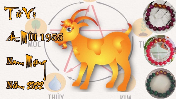 Tử vi năm 2022 tuổi ẤT MÙI sinh năm 1955 Nam Mạng-3 Tử vi năm 2022 tuổi ẤT MÙI sinh năm 1955 Nam Mạng-3