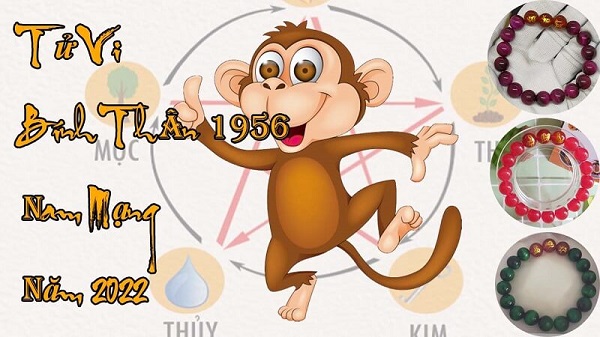 Xem tử vi năm 2022 tuổi BÍNH THÂN 1956 Nam Mạng-2