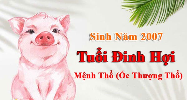Tử vi năm 2022 tuổi ĐINH HỢI sinh năm 2007 [Nữ Mạng]-2