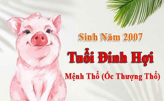 Tử vi năm 2022 tuổi ĐINH HỢI sinh năm 2007 [Nam Mạng]-2