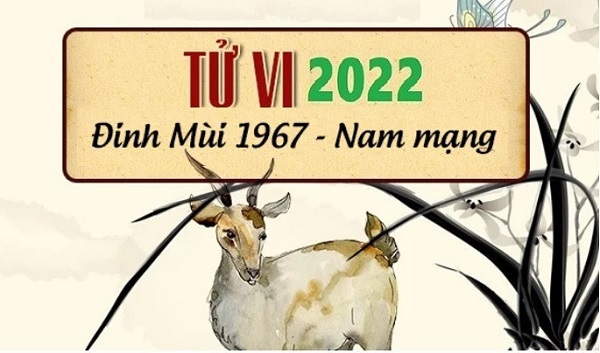 Tử vi năm 2022 tuổi ĐINH MÙI sinh năm 1967 Nam Mạng-3