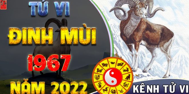 Tử vi năm 2022 tuổi ĐINH MÙI sinh năm 1967 Nam Mạng-2