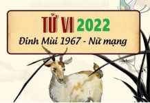 Tử vi năm 2022 tuổi ĐINH MÙI sinh năm 1967 Nữ Mạng