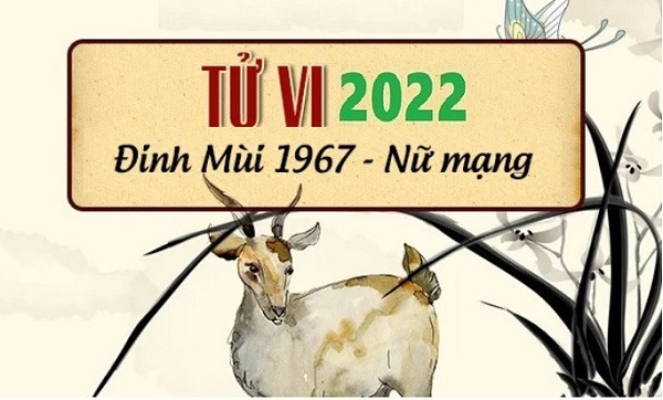 Tử vi năm 2022 tuổi ĐINH MÙI sinh năm 1967 Nữ Mạng-1 Tử vi năm 2022 tuổi ĐINH MÙI sinh năm 1967 Nữ Mạng-1
