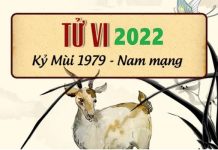 Tử vi 2022 tuổi Kỷ Mùi sinh năm 1979 nam mạng
