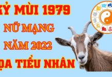 Tử vi 2022 tuổi Kỷ Mùi sinh năm 1979 nữ mạng