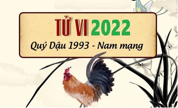 Xem tử vi năm 2022 tuổi QUÝ DẬU sinh năm 1993 [Nam Mạng]-3