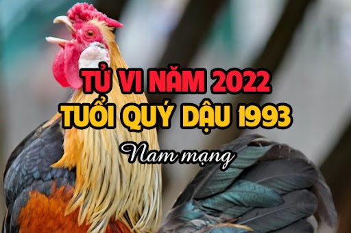 Xem tử vi năm 2022 tuổi QUÝ DẬU sinh năm 1993 [Nam Mạng]-1