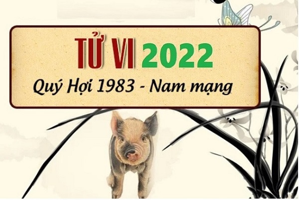 Xem tử vi năm 2022 tuổi QUÝ HỢI sinh năm 1983 [Nam Mạng]-1