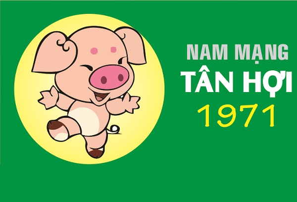 Xem tử vi tuổi Tân Hợi 1971 năm 2022 [nam mạng]-2