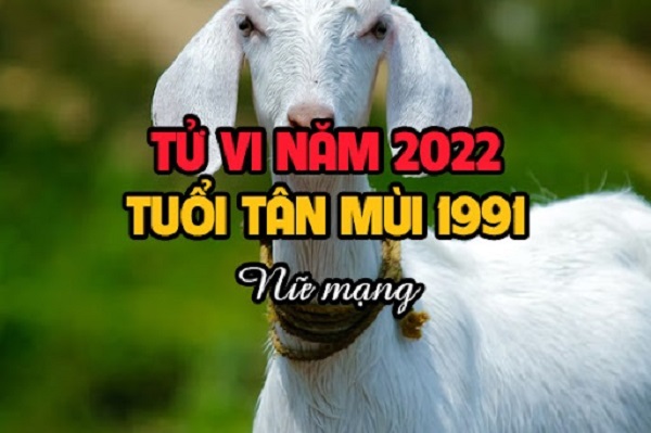 Tử vi năm 2022 tuổi TÂN MÙI sinh năm 1991 Nữ Mạng-2