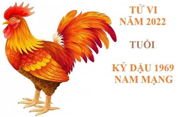 Xem tử vi năm 2022 tuổi KỶ DẬU sinh năm 1969 [Nam Mạng]-1