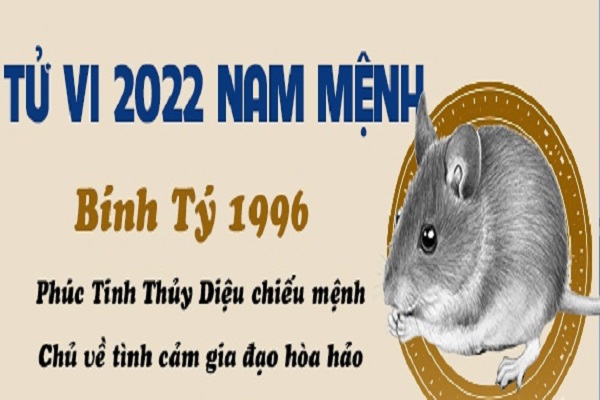 Xem tử vi 2022 tuổi BÍNH TÝ sinh năm 1996 Nam Mạng-2