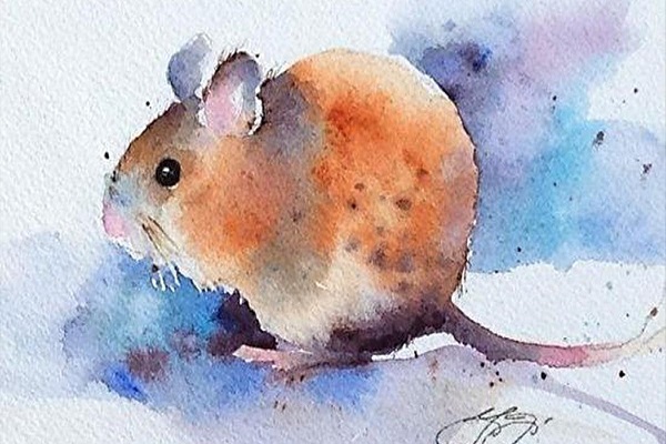 Xem tử vi 2022 tuổi CANH TÝ sinh năm 1960 Nữ Mạng-2