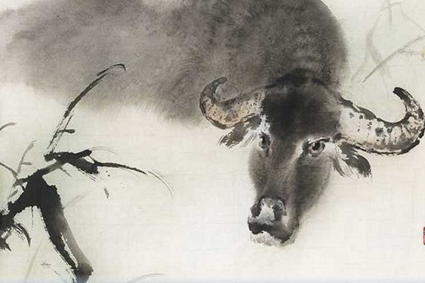 Xem tử vi 2022 tuổi TÂN SỬU sinh năm 1961 Nữ Mạng-1