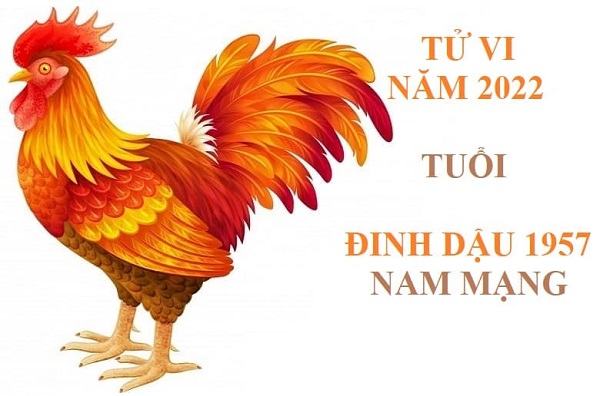 Xem tử vi năm 2022 tuổi ĐINH DẬU sinh năm 1957 [Nam Mạng]-1